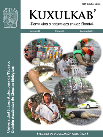 Portada 20(38); enero-junio, 2014