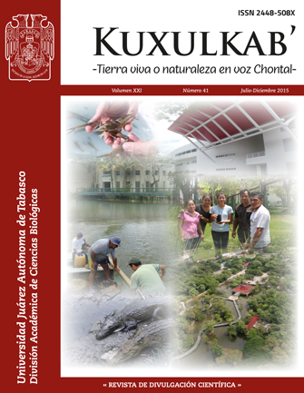 Portada 21(41); julio-diciembre, 2015
