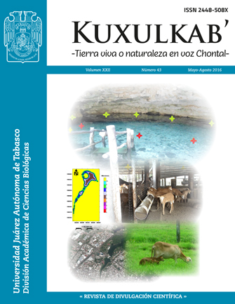 Portada 22(43); mayo-agosto, 2016
