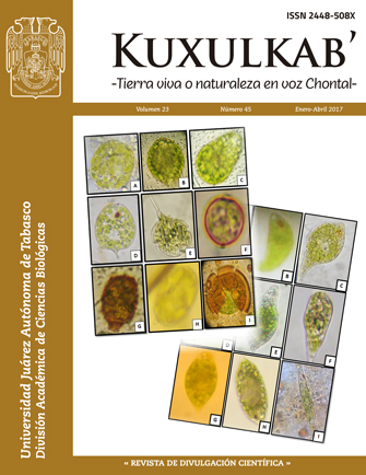 Portada 23(45); enero-abril, 2017