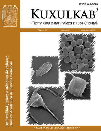 Portada 23(46); mayo-agosto, 2017