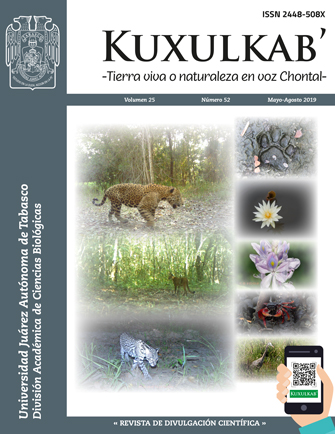 Portada 25(52); mayo-agosto, 2019