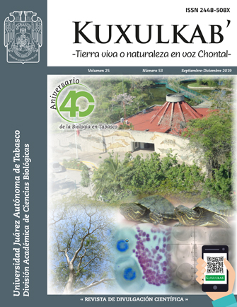 Portada 25(53); septiembre-diciembre, 2019