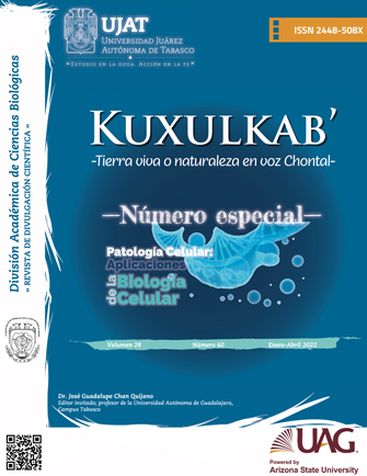 Portada 28(60) 2022