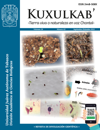 Portada del número