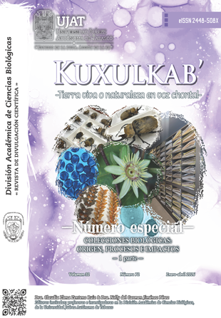 					Ver Vol. 32 Núm. 72 (2026): ─ Número especial ─ 
				