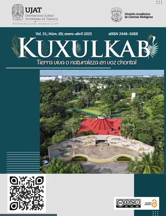 Portada alusivo al número 69 del 2025 de Kuxulkab'